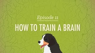 How to Train a Brain Crash Course Psychology 11 [upl. by Meli]