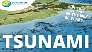 The Hikurangi Subduction Zone  Scientists explain their work on NZs largest fault [upl. by Nyloc812]