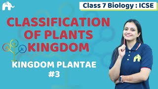 Classification of Plants Kingdom Class 7 ICSE Biology Chapter 2  Selina  Kingdom Plantae 3 [upl. by Yelyac893]