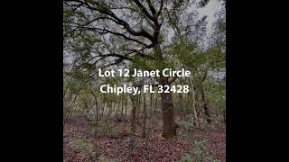 Lot 12 Janet Circle Chipley FL 32428  LandLot For Sale [upl. by Elephus]