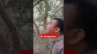 Como ser un chiapaneco viralvideo compartanlo videosvirales humor [upl. by Kram]