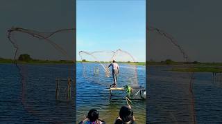 Awesome technique throw cast net fishing in the lake fishing traditional techniquenature fishing [upl. by Mariellen]