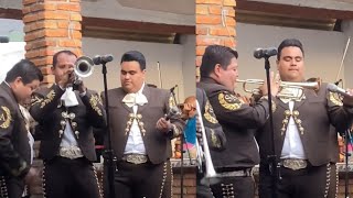 Qué elegancia María de todas las Marias Mariachi Sol de America 🎺🎺🎺 [upl. by Rawdan33]