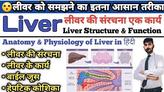 Liver Anatomy and physiology  Function of Liver  Hepatic Cell  Bile Juice  Lobes of Liver [upl. by Forta]