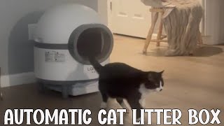 LaresarPets PL1 Self Cleaning Litter Box with APP Automatic Cat Litter Box [upl. by Davison872]