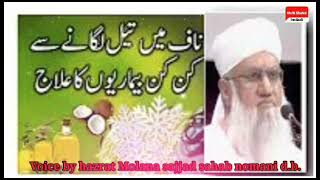 Naaf me tel dalne ke fayde  voice by hazrat molana sajjad nomani sahab dbmuftishahidimdadi [upl. by Shiroma617]