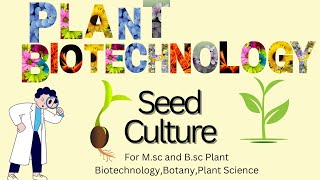 Seed Culture in plant biotechnology and botany  Seed Culture procedure [upl. by Olecram82]