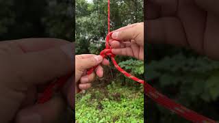 Wild Butterfly Knot bushcraft survivalskills camping outdoors [upl. by Tonia]