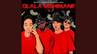 EnhleTheeDJ  Dlala Mshimane Official Audio ft Exceed DeeJay HarrisDontcare amp DBlaze AMAPIANO [upl. by Jordain852]