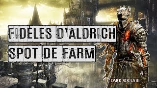 28 ► Serment  Fidèles dAldrich ● DARK SOULS 3 ● GUIDE PLATINE FR [upl. by Orian]