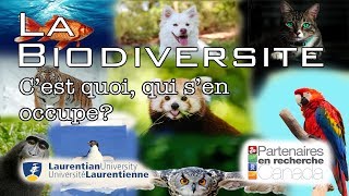 La Biodiversité  Cest quoi qui sen occupe [upl. by Nnelg]