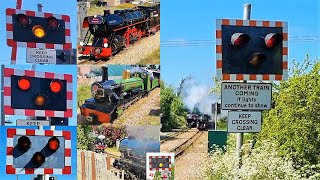 Level Crossings amp Trains on the Romney Hythe amp Dymchurch Railway May 2022 95th Anniversary Gala [upl. by Jangro]