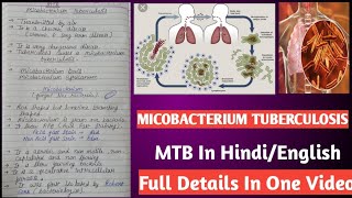 Micobacterium tuberculosis  Mycobacterium tuberculi microbiology [upl. by Kip]