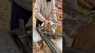 🌳Birch🌳is the best👍tree for firewood🪵 firewood woodworking splitter woodcutter [upl. by Melcher]