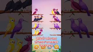 cute birds shortviral vlogs shotcutebirds bhojpuri ganashortvid gaanabhojpuri funny [upl. by Terese204]