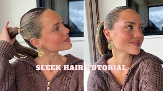 My Tips amp Tricks for a SLEEK hairstyle  Elanna Pecherle 2024 [upl. by Matless]