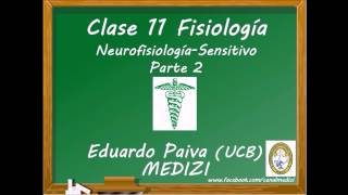 Clase 11 Fisiología  Neurofisiología Sensitivo 2 IGdoctorpaiva [upl. by Kinson]