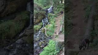 Burrator Waterfall 12th July 2020 [upl. by Mcclish828]