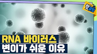 핫클립 RNA 바이러스의 변이가 쉬운 이유  YTN 사이언스 [upl. by Damara]