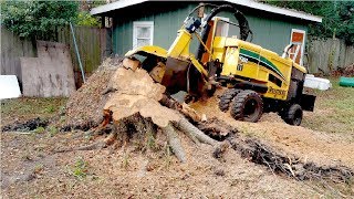 Extreme Fast Tree Stump Grinder Modern Technology Intelligent Forestry Equipment and Mega Machines [upl. by Herm584]