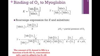 025Binding Affinity of Mb [upl. by Atihana601]