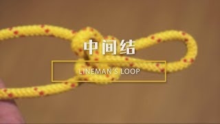 030中间结、工程蝴蝶结 How to tie a Linemans Loop [upl. by Eugirne]