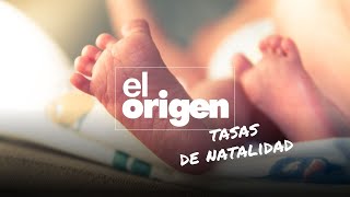 Escasez de bebés ¿Cómo impacta nuestro futuro  El Origen Ep 10 [upl. by Milford281]