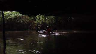 Canoe through cave  Kenong Rimba Park [upl. by Adeline]