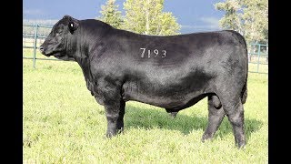 Lot 2  Montana Enterprise 7193 [upl. by Synn]