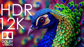 12K HDR 120fps Dolby Vision with Calming Music Animal Colorful Life [upl. by Gina]