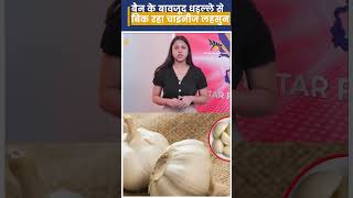 Ban के बावजूद धड़ल्ले से बिक रहा Chinese Garlic। [upl. by Loughlin]