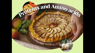 Proteins and amino acids [upl. by Hgielrak]