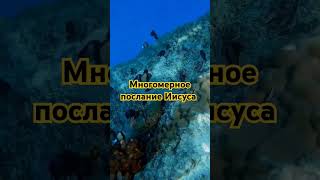 Многомерное послание Иисуса ЧЕННЕЛИНГ мудрость [upl. by Ecnatsnoc]