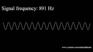 20Hz to 20kHz Human Audio Spectrum [upl. by Nylidnam621]