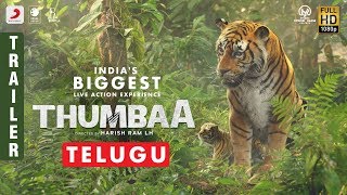 Thumbaa  Telugu Trailer  Darshan Harish Ram LH  Anirudh VivekMervin SanthoshDhayanidhi [upl. by Calvina296]