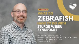 What do Zebrafish have to do with SturgeWeber Syndrome [upl. by Amargo]