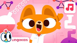 JOBS SONG 🧑‍🔬🧑‍🚀🎶 Songs for kids  Lingokids [upl. by Calv131]