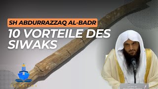 Kennst du diese Vorteile des Siwaks  Sheikh Abdurrazzaq AlBadr [upl. by Gerfen]