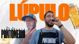 ¿QUÉ ES EL LÚPULO  Punto Medio [upl. by Arikahc]