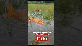 FISHING IS LIFE 😅😅FUNNY VIDEO FUNNY VIDEO sagargamer [upl. by Nayr956]