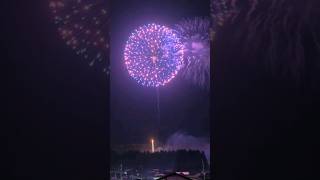 Dynamic Fireworks Compilation [upl. by Ahsieni]