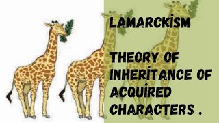 Lamarckism Theory Of Inheritance Of Acquired Characters Rejection Of Lamarckism  Flaws [upl. by Aveer968]