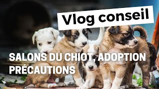 Salon du chiot adoption  précautions [upl. by Einyaj]