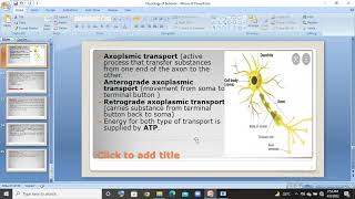 2 types of supporting cells in neuron Glia and Schwann cells in urduhindi lec [upl. by Thurlough]