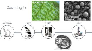 Microscopy [upl. by Arihsan]