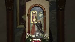 Saint Faustina Diary 353 inspiration saintfaustina catholic christian christianity god love [upl. by Neumeyer261]