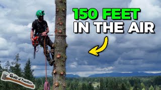 Removing A Tree 150 FEET In The AIR  GIANT 50” Fir Takedown [upl. by Lipp857]