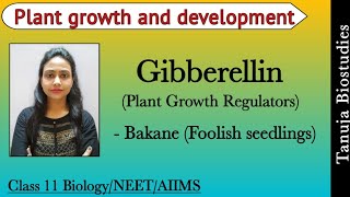 Plant Growth Regulators  Gibberellins Bakane Foolish seedlings Disease  11th BiologyNEETAIIMS [upl. by Eiddam917]