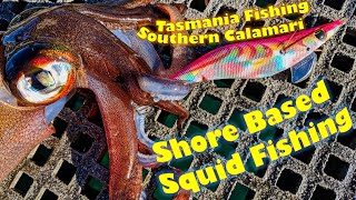 How to Catch Squid From Shore  Fishing Southern Calamari in Tasmania [upl. by Dichy]