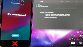 How To Connect Disabled iPhone to iTunes WITHOUT Home Button [upl. by Blumenfeld]